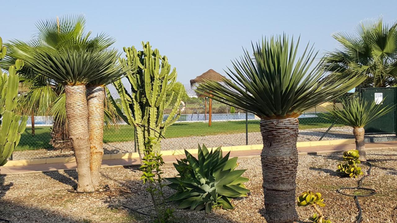 Apartments Sol De Almeria Golf Y Playa Retamar  Bagian luar foto